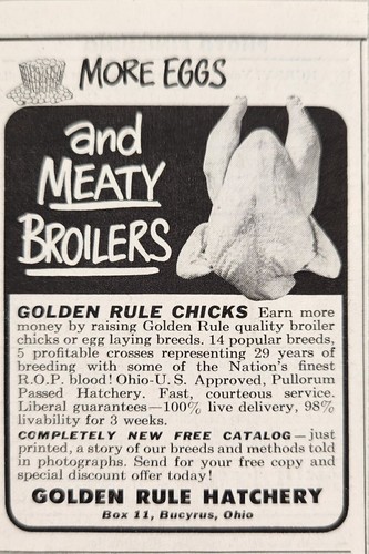 1951 print golden rule - golden,